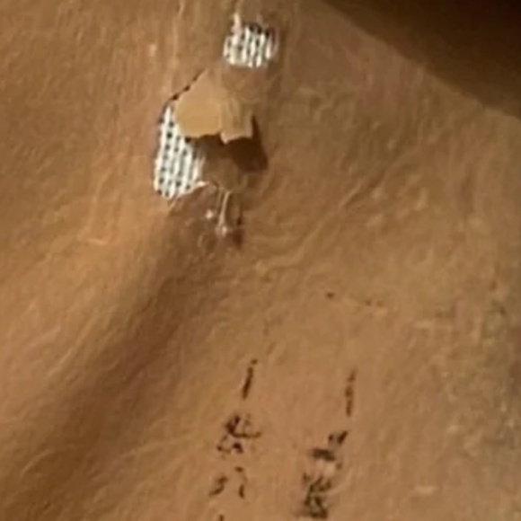 CELINE Tan Kisslock Long Wallet Macadam Print Leather Coated Canvas beige lux - Picture 13 of 16